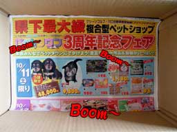 怪しいわ・・・