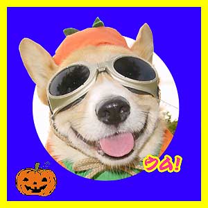 ウム!