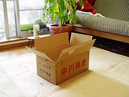 昨日のつづきよ!