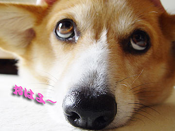 ͂ւ`I