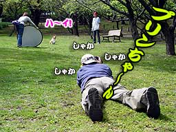 ʐ^Ɓ@V@Bei