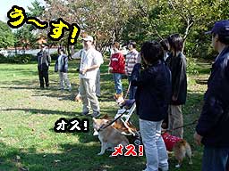 さて この人たちはナニを確認しているのでしょうか?
