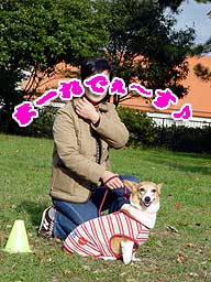 ファッションショー 見てみる?