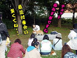 学園祭らしい アカデミックな雰囲気