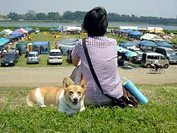 日向ぼっこ