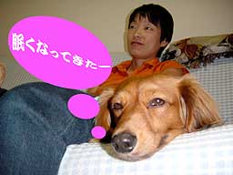 ランクの留守番6