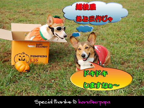 ăpp@肪Ƃ`@(^o^)//"""