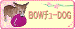 BOWチューDOG