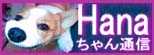 Hanaちゃん通信