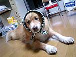 アインくん