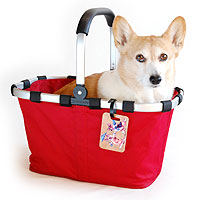 迷子にならないように・・・っと!