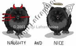 �N���b�N�Ŋg��I