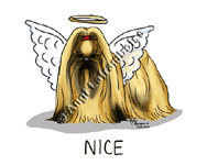 �N���b�N�Ŋg��I