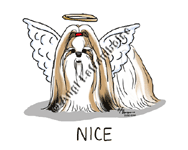 �N���b�N�Ŋg��I