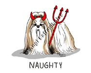 �N���b�N�Ŋg��I