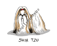 �N���b�N�Ŋg��I