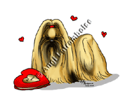 �N���b�N�Ŋg��I