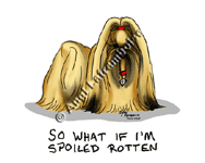 �N���b�N�Ŋg��I