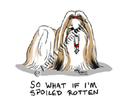 �N���b�N�Ŋg��I