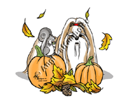 �N���b�N�Ŋg��I