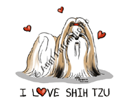 �N���b�N�Ŋg��I