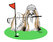 �N���b�N�Ŋg��I