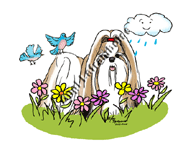 �N���b�N�Ŋg��I