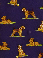 �G�A�f�[��