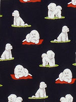 �r�V����