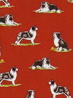 �{�[�_�[�E�R���[