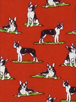 �{�X�g���E�e���A