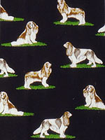 �L���o���A