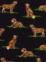 �`���R���u