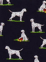 �_�����V�A��