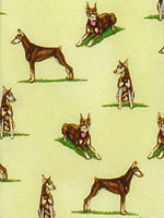 �h�[�x���}��