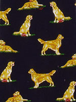 �S�[���f��