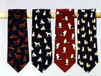 �R���͂��������@w('o')w ���!!