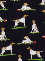 �|�C���^�[