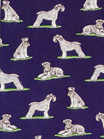 �V���i�E�U�[