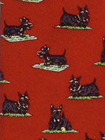 �X�R�b�e�B�[