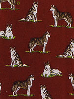 S�E�n�X�L�[