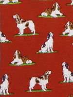 �X�v�����K�[