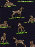 ���C�}���i�[