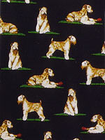 �E�B�[�g���E�e���A