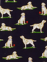 �C�G���[�E���u