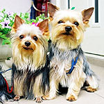 �r�r����񁕂��񂽂���