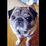 �`���b�s�[����