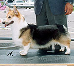 �N���t�����