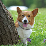 �A�����[����