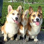 J�����R����